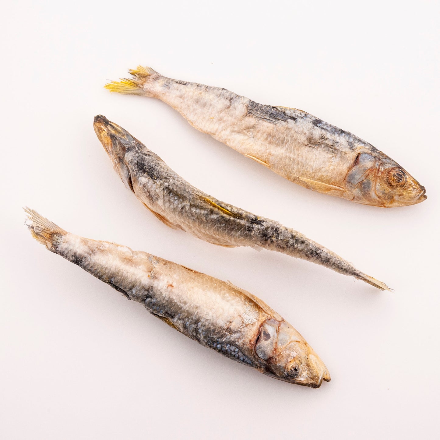Raw Sardine Treats
